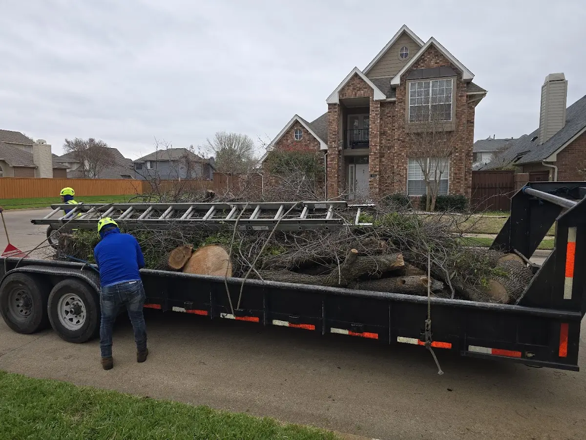 Expert Lot Clearing with proper safety equipment in Prather
